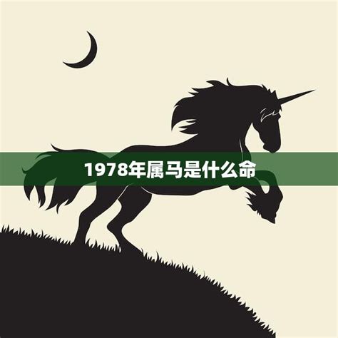 1978年生肖|1978年属马是什么命，78年出生五行属什么